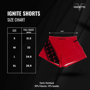 Workout Shorts- Red