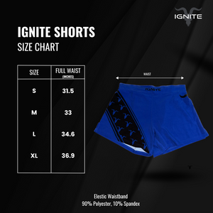Workout Shorts- Blue