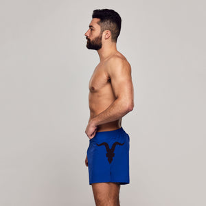 Workout Shorts- Blue