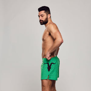 Workout Shorts- Alligator